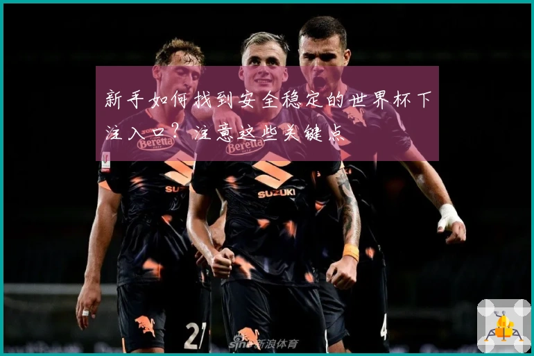 新手如何找到安全稳定的世界杯下注入口？注意这些关键点