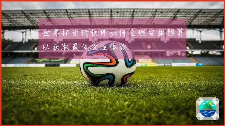 世界杯竞猜软件如何合理安排预算以获取最佳投注体验