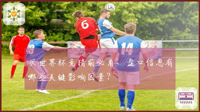买世界杯竞猜前必看，盘口信息有哪些关键影响因素？