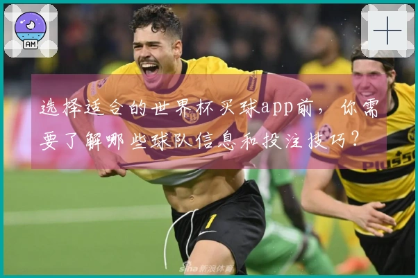 选择适合的世界杯买球app前，你需要了解哪些球队信息和投注技巧？