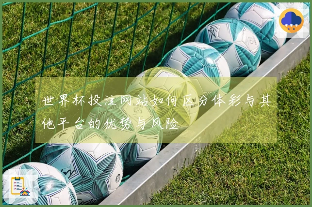 世界杯投注网站如何区分体彩与其他平台的优势与风险