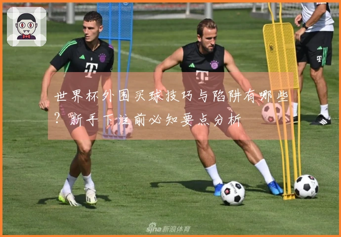 世界杯外围买球技巧与陷阱有哪些？新手下注前必知要点分析