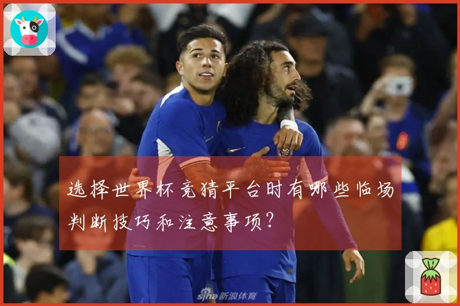 选择世界杯竞猜平台时有哪些临场判断技巧和注意事项?