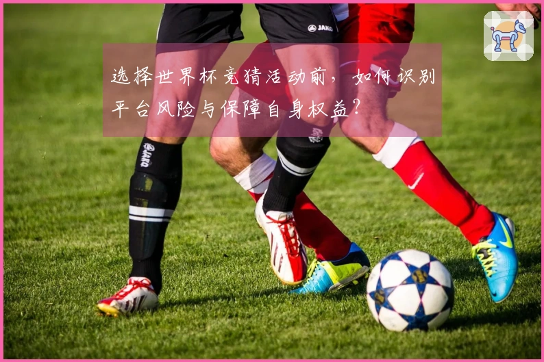 选择世界杯竞猜活动前，如何识别平台风险与保障自身权益？