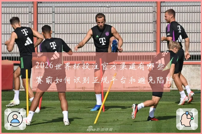 2026世界杯投注官方渠道有哪些，赛前如何识别正规平台和避免陷阱