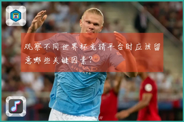 观察不同世界杯竞猜平台时应该留意哪些关键因素？
