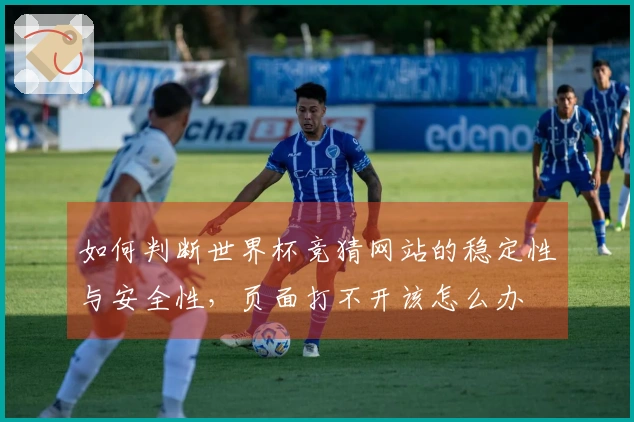 如何判断世界杯竞猜网站的稳定性与安全性，页面打不开该怎么办