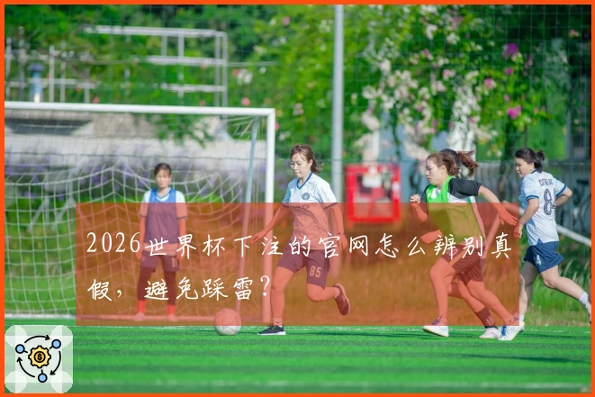 2026世界杯下注的官网怎么辨别真假，避免踩雷？