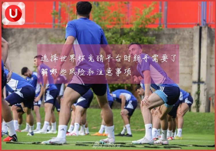 选择世界杯竞猜平台时新手需要了解哪些风险和注意事项