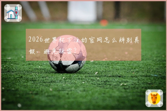 2026世界杯下注的官网怎么辨别真假，避免踩雷？