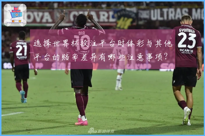 选择世界杯投注平台时体彩与其他平台的赔率差异有哪些注意事项？