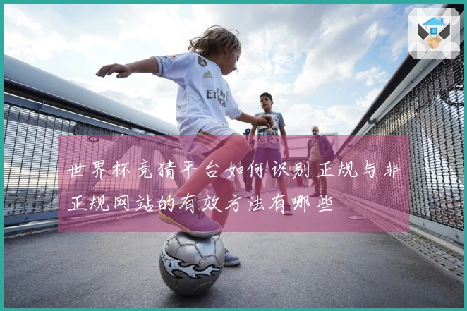 世界杯竞猜平台如何识别正规与非正规网站的有效方法有哪些
