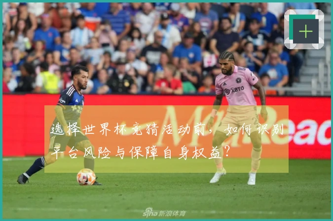 选择世界杯竞猜活动前，如何识别平台风险与保障自身权益？