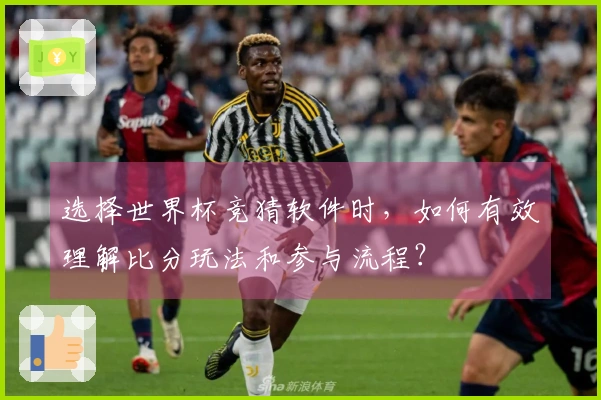 选择世界杯竞猜软件时，如何有效理解比分玩法和参与流程？