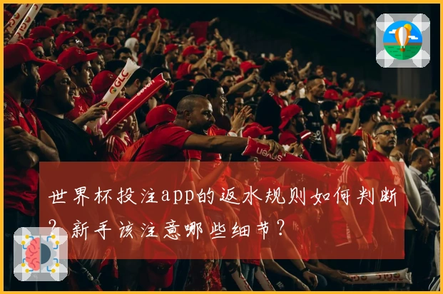 世界杯投注app的返水规则如何判断？新手该注意哪些细节？