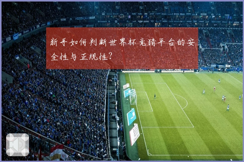 新手如何判断世界杯竞猜平台的安全性与正规性？