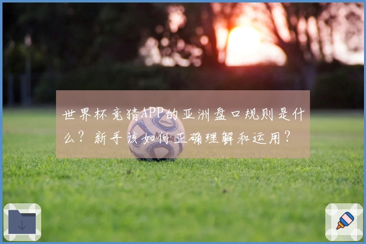 世界杯竞猜APP的亚洲盘口规则是什么？新手该如何正确理解和运用？