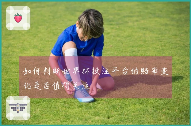 如何判断世界杯投注平台的赔率变化是否值得关注