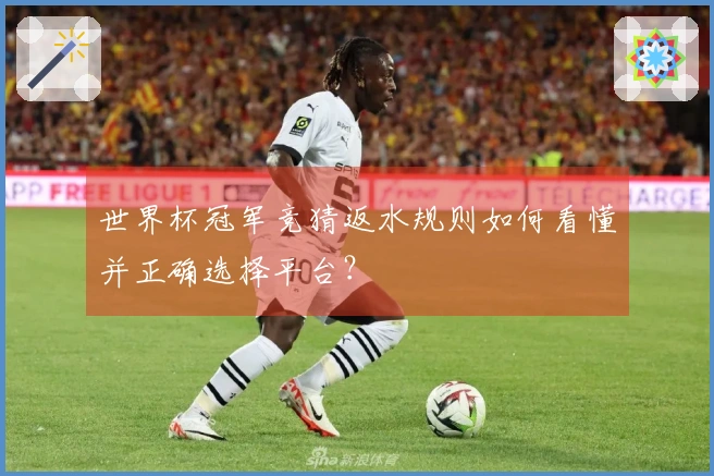 世界杯冠军竞猜返水规则如何看懂并正确选择平台？