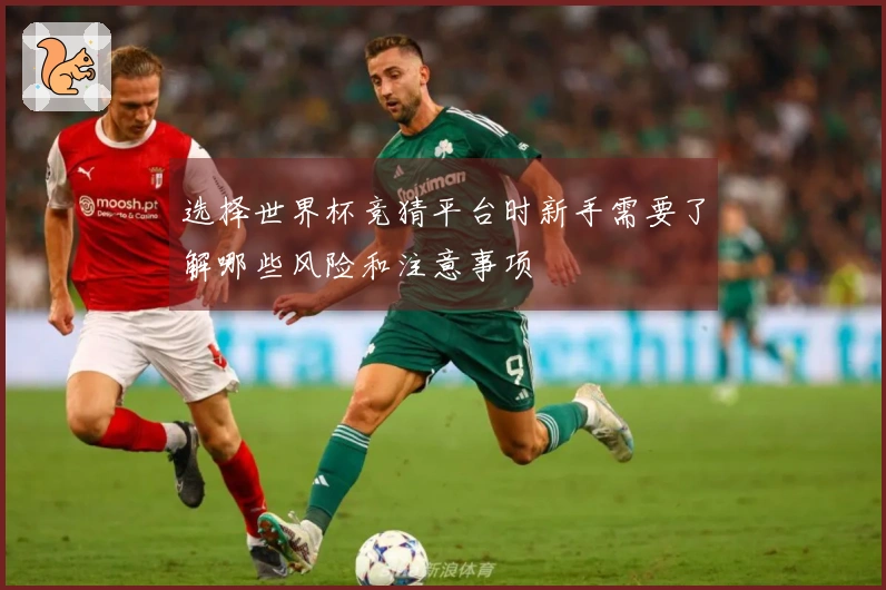 选择世界杯竞猜平台时新手需要了解哪些风险和注意事项