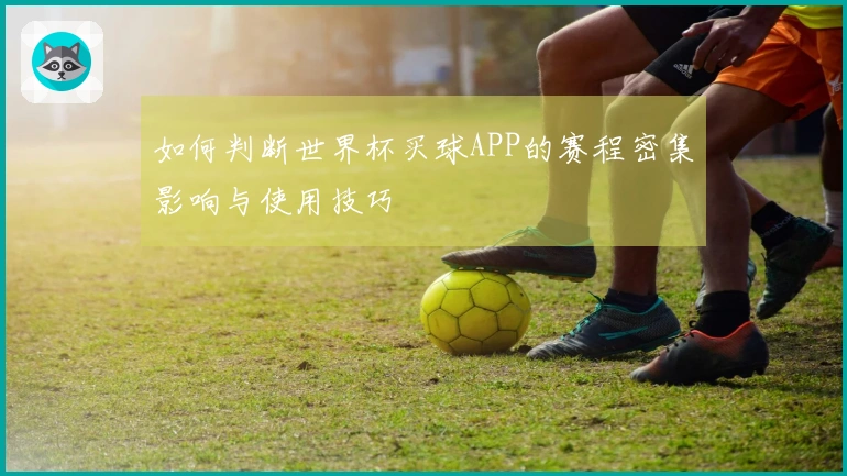 如何判断世界杯买球APP的赛程密集影响与使用技巧