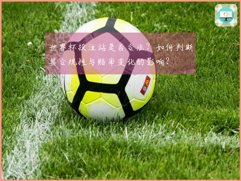 世界杯投注站是否合法？如何判断其合规性与赔率变化的影响？