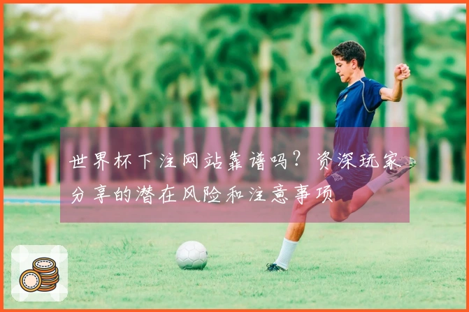 世界杯下注网站靠谱吗？资深玩家分享的潜在风险和注意事项