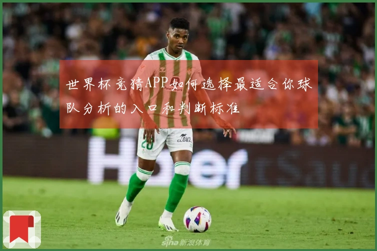 世界杯竞猜APP如何选择最适合你球队分析的入口和判断标准