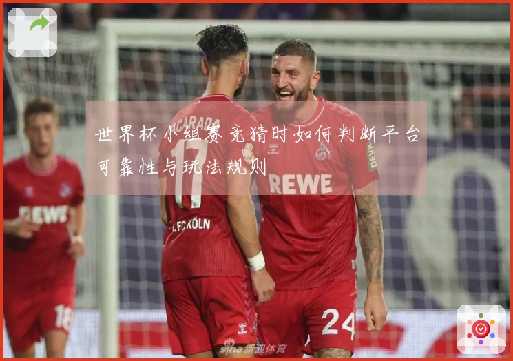 世界杯小组赛竞猜时如何判断平台可靠性与玩法规则