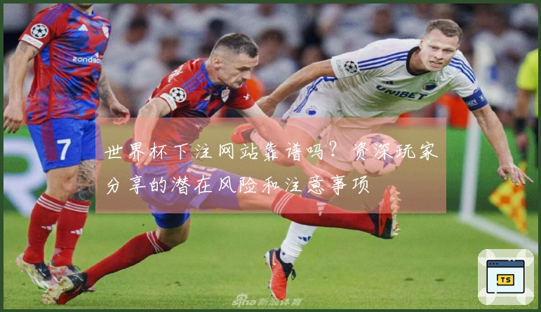 世界杯下注网站靠谱吗？资深玩家分享的潜在风险和注意事项