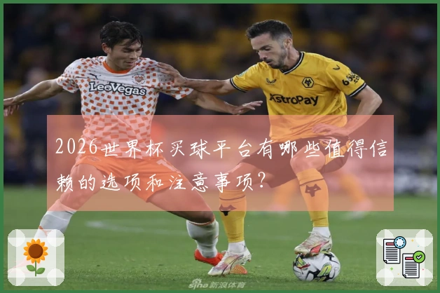 2026世界杯买球平台有哪些值得信赖的选项和注意事项？